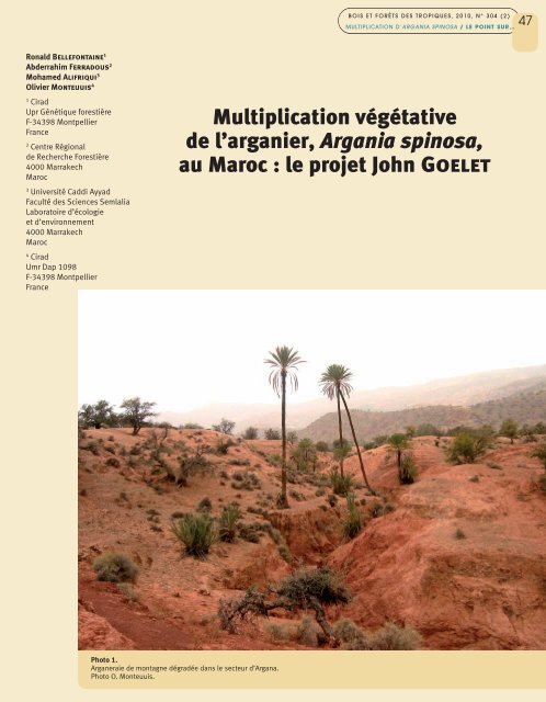 Multiplication végétative de l'arganier, Argania spinosa, au Maroc ...