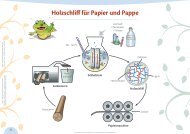 Folie 34: Holzschliff fÃƒÂ¼r Papier und Pappe - Format-X
