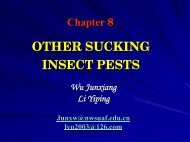 OTHER SUCKING INSECT PESTS
