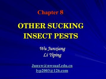 OTHER SUCKING INSECT PESTS