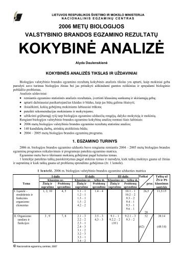 KOKYBINÄ ANALIZÄ - Nacionalinis egzaminÅ³ centras