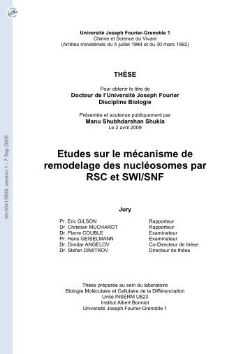 Etudes sur le mécanisme de remodelage des nucléosomes par ...