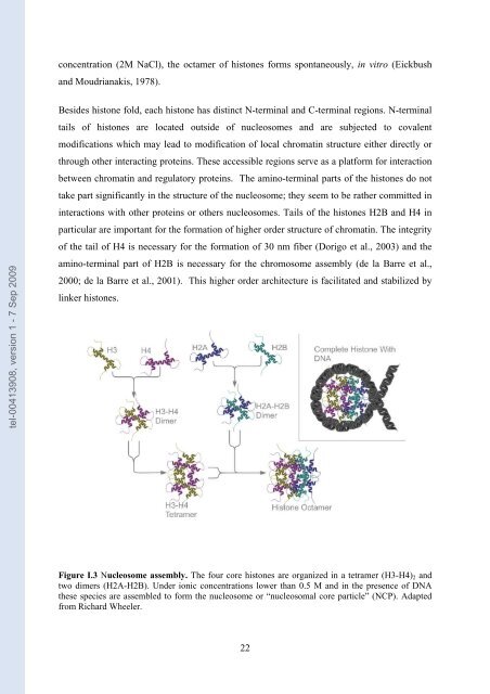 Etudes sur le mécanisme de remodelage des nucléosomes par ...