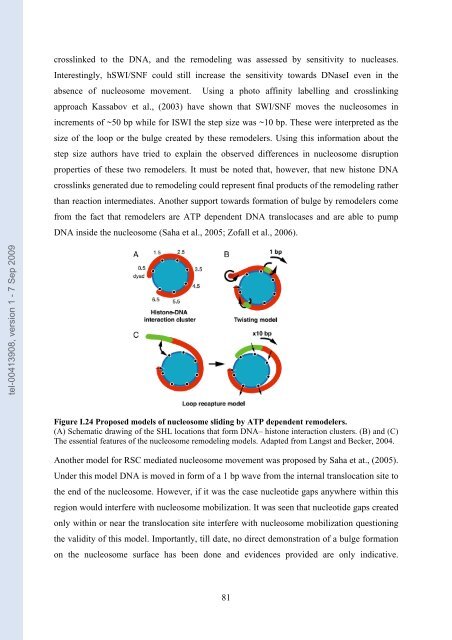 Etudes sur le mécanisme de remodelage des nucléosomes par ...