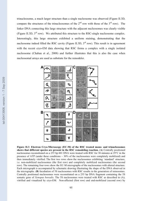 Etudes sur le mécanisme de remodelage des nucléosomes par ...