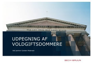 UDPEGNING AF VOLDGIFTSDOMMERE - Bech-Bruun