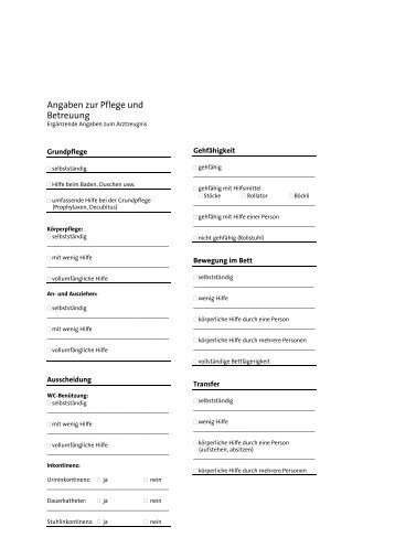 Angaben zur Pflege und Betreuung (Pdf)