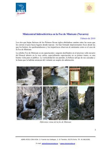 Minicentral hidroeléctrica en la Foz de Mintxate ... - Ríos con Vida
