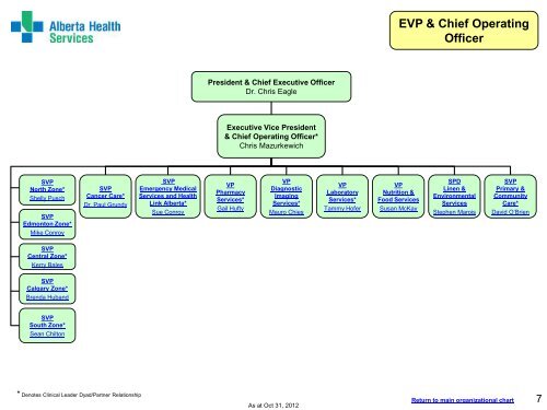 Chief Operating Officer Organizational Chart