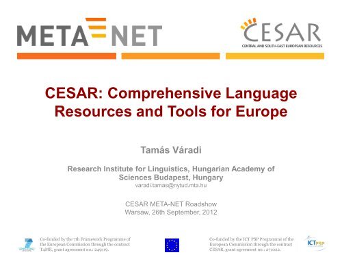 comprehensive language resources and tools for ... - CESAR project