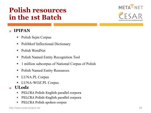 comprehensive language resources and tools for ... - CESAR project