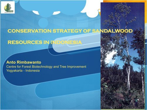 conservation strategy of sandalwood resources in indonesia