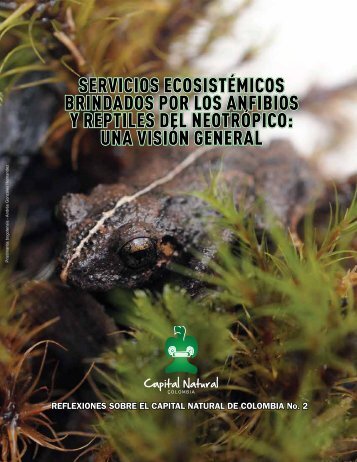 Version en EspaÃ±ol - ConservaciÃ³n Internacional | Colombia