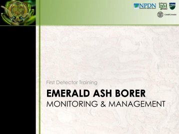 Introduction to EAB - New York Invasive Species Information