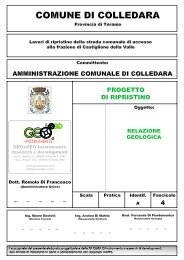 Relazione Geologica - Romolo Di Francesco