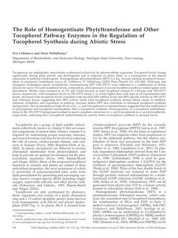 The Role of Homogentisate Phytyltransferase and ... - Plant Physiology