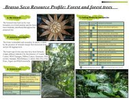 Brasso Seco Resource Profile: Forest and forest trees - CANARI