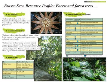 Brasso Seco Resource Profile: Forest and forest trees - CANARI