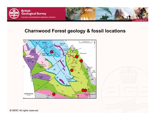 The Charnwood Fossils