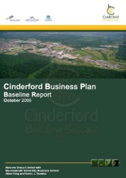 Cinderford Business Plan - Baseline Report - Forest of Dean District ...