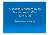 Cosecha Mecanizada de ArÃ¡ndanos - Michigan - Comite de ...