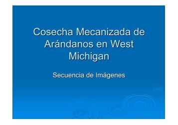 Cosecha Mecanizada de ArÃ¡ndanos - Michigan - Comite de ...