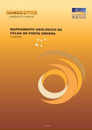 Relatorio Folha Ponta Grossa 2007.pdf - uri=mineropar.pr.gov