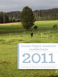 Suomen Hippos -konsernin vuosikertomus