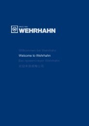 PDF 4775 Kb - Wehrhahn