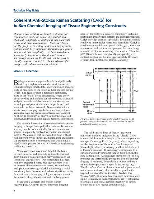 Materials Science and Engineering Laboratory FY 2004 ... - NIST