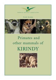 primates and other mammals of Kirindy - Tropical Biology Association