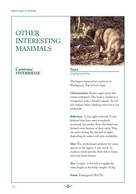 primates and other mammals of Kirindy - Tropical Biology Association