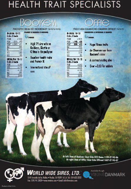 1-2013 - Dansk Holstein