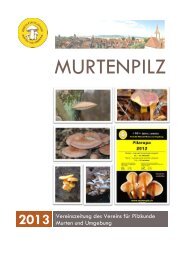 Murtenpilz 2013 als pdf - Verein für Pilzkunde Murten und Umgebung