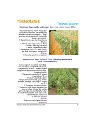 TEKNOLOGI - Hortikultura