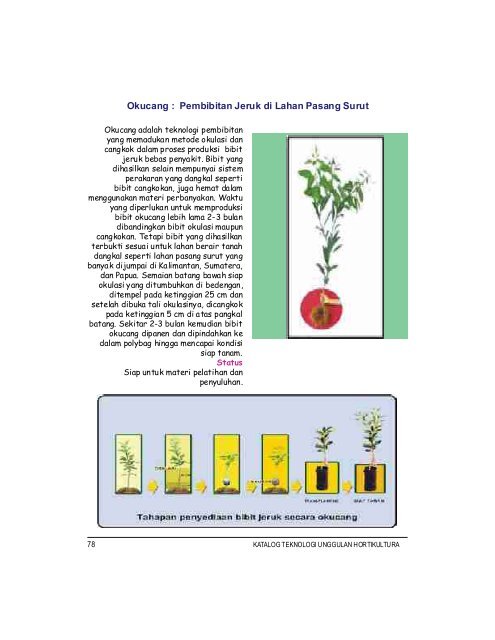 TEKNOLOGI - Hortikultura