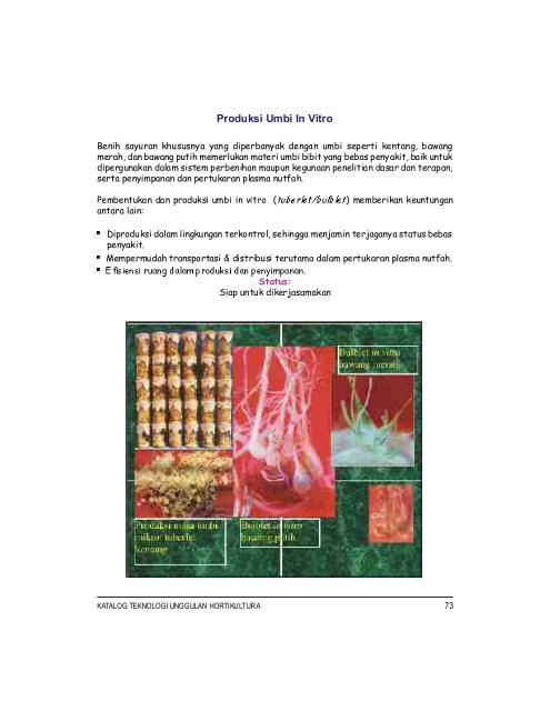 TEKNOLOGI - Hortikultura