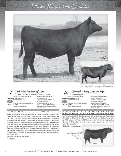 95 Registered Angus Lots…175 Head plus Embryos - A Cross Ranch