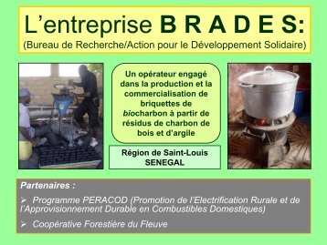 Briquettes de biocharbon - Peracod