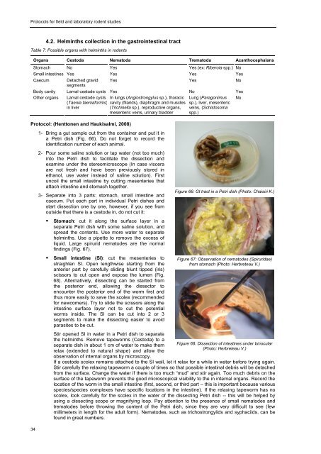 Protocols for field and laboratory rodent studies - HAL