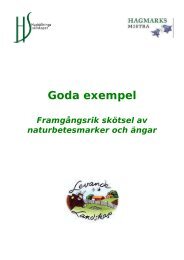 Goda exempel (5087 kb, pdf) - HS Konsult - HushÃ¥llningssÃ¤llskapet