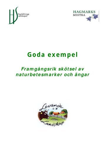 Goda exempel (5087 kb, pdf) - HS Konsult - HushÃ¥llningssÃ¤llskapet