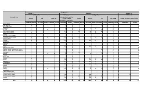 Seguimiento SMIR Telesecundaria 2011