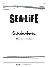 Schulmaterial Meeresschildkroeten - Sea Life