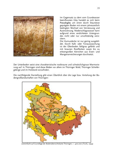Die Entstehung unserer Böden - Thüringer Landesanstalt für ...