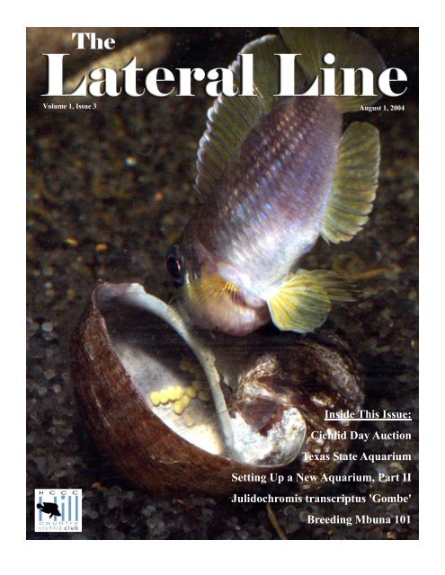 Lateral Line August 2004-1.pub - Hill Country Cichlid Club