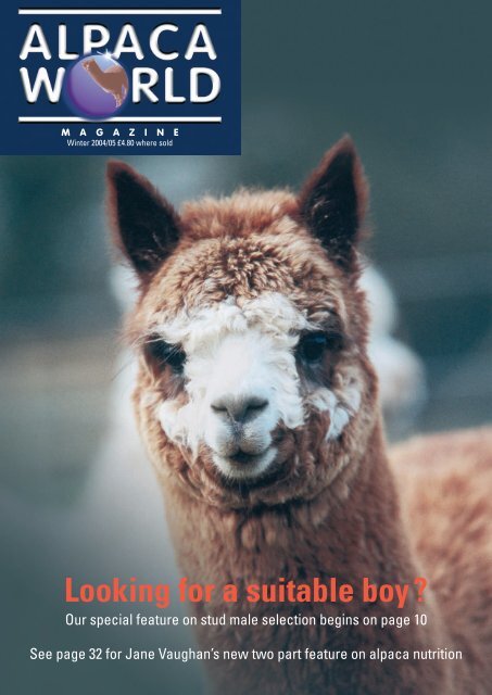 Winter - Classical Mileend Alpacas