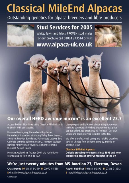 Winter - Classical Mileend Alpacas