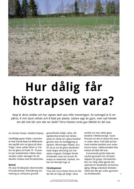 Hur dÃ¥lig fÃ¥r hÃ¶strapsen vara? - Svensk Raps