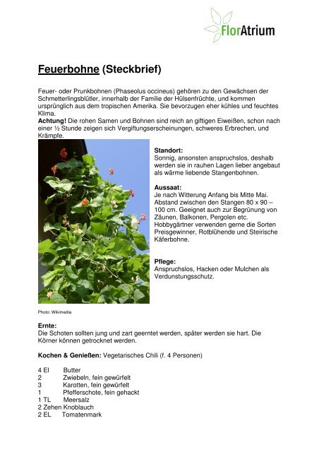 Steckbrief Feuerbohne - Gartenfreunde Bremen